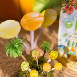 MOM Tropikal Meyve Aromalı Organik Lolipop 10lu Paket - 6