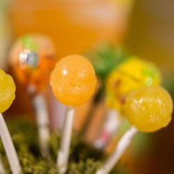 MOM Tropikal Meyve Aromalı Organik Lolipop 10lu Paket - 4