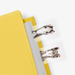 Mustard Ayraç Cat in a Book - 2