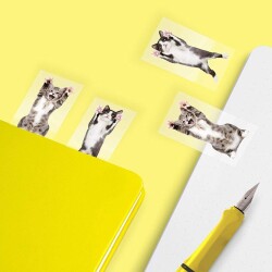 Mustard Ayraç Cat in a Book - 3