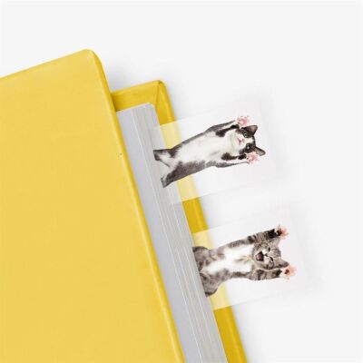 Mustard Ayraç Cat in a Book - 2