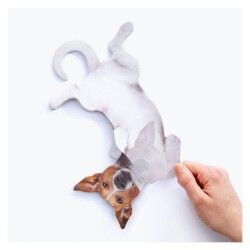 Mustard Dog Asılabilir Notluk - 3