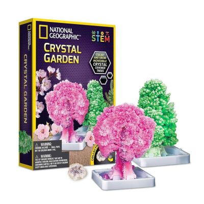 Nat Geo Kristal Bitki Kiti - 1
