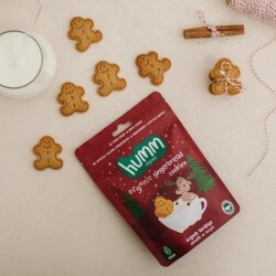 Organik Kurabiye Tarçınlı Zencefilli 55 gr - 2
