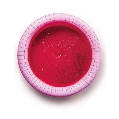 Quut Dippy Şişme Çocuk Yüzme Havuzu Çap 120 cm Cherry - 7