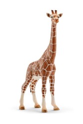 Schleich Dişi Zürafa - Schleich