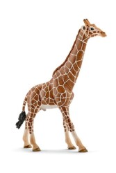 Schleich Erkek Zürafa - Schleich