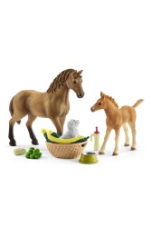 Schleich Sarahnın Hayvan Bakım Seti - Schleich