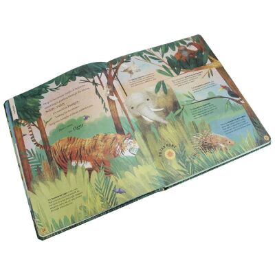 Sounds Of The Wild Sesli Kitap - 3