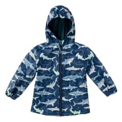 Stephen Joseph Yağmurluk Köpekbalığı 