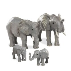 Terra Afrika Fil Ailesi - Terra