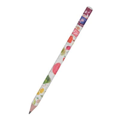 Visconti Kurşun Kalem Jumbo Hapy Graphix 4B Sofra - 1